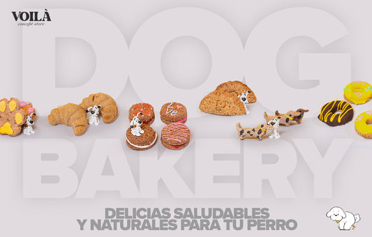 🐶 Dog Bakery : Delicias Saludables y Naturales para tu Perro