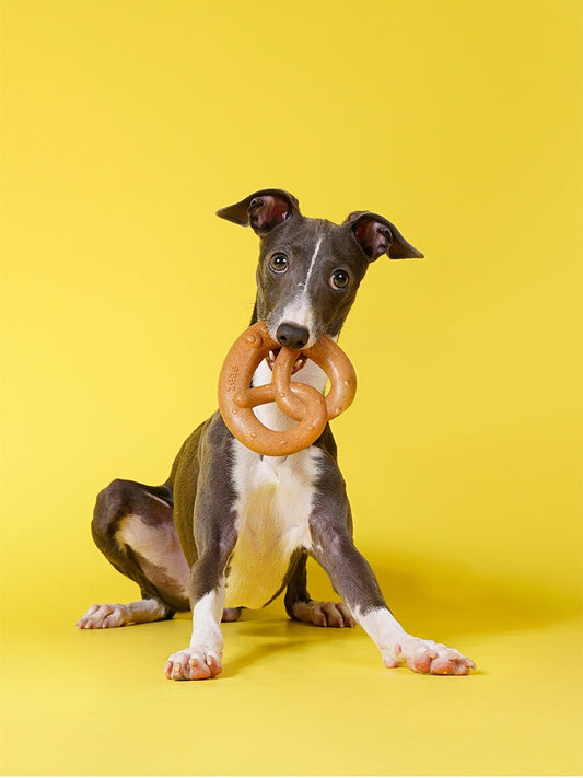 Jouet à mâcher en forme de bretzel