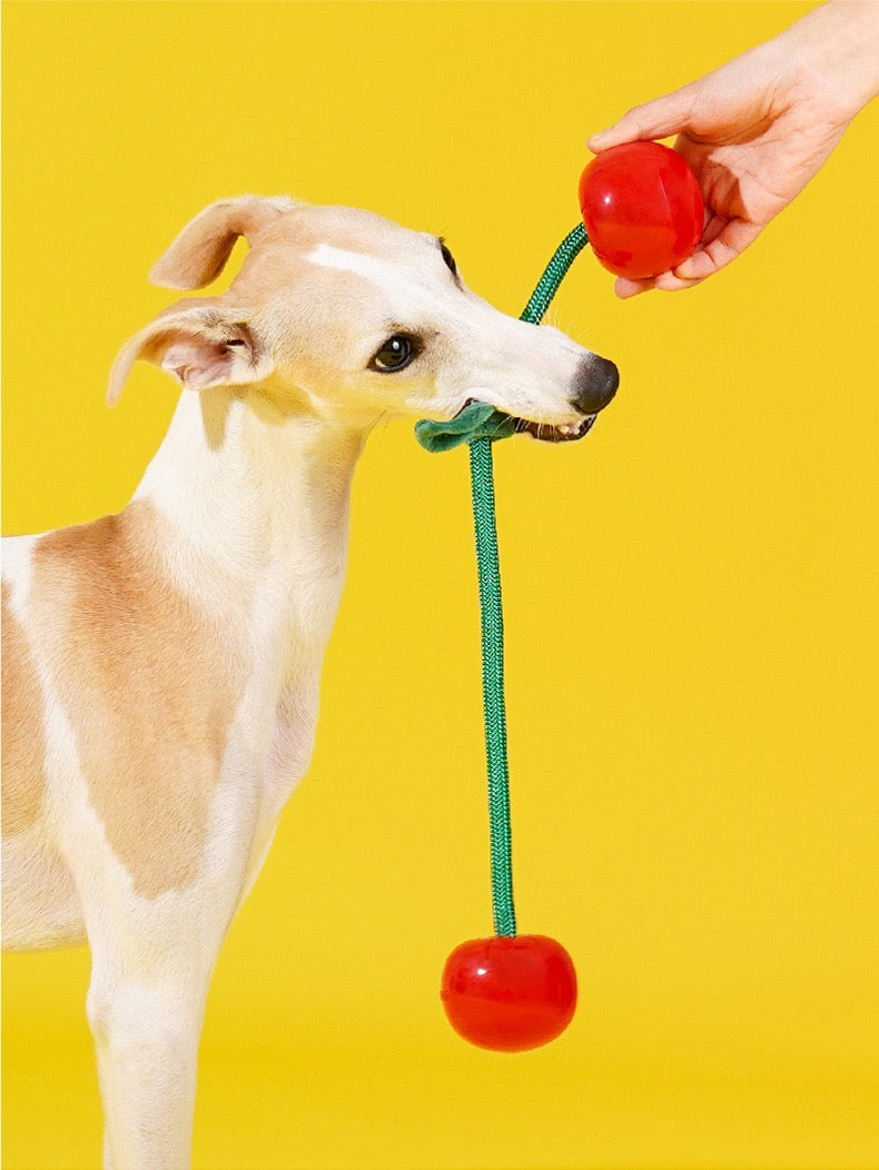 Cherry Chew Toy