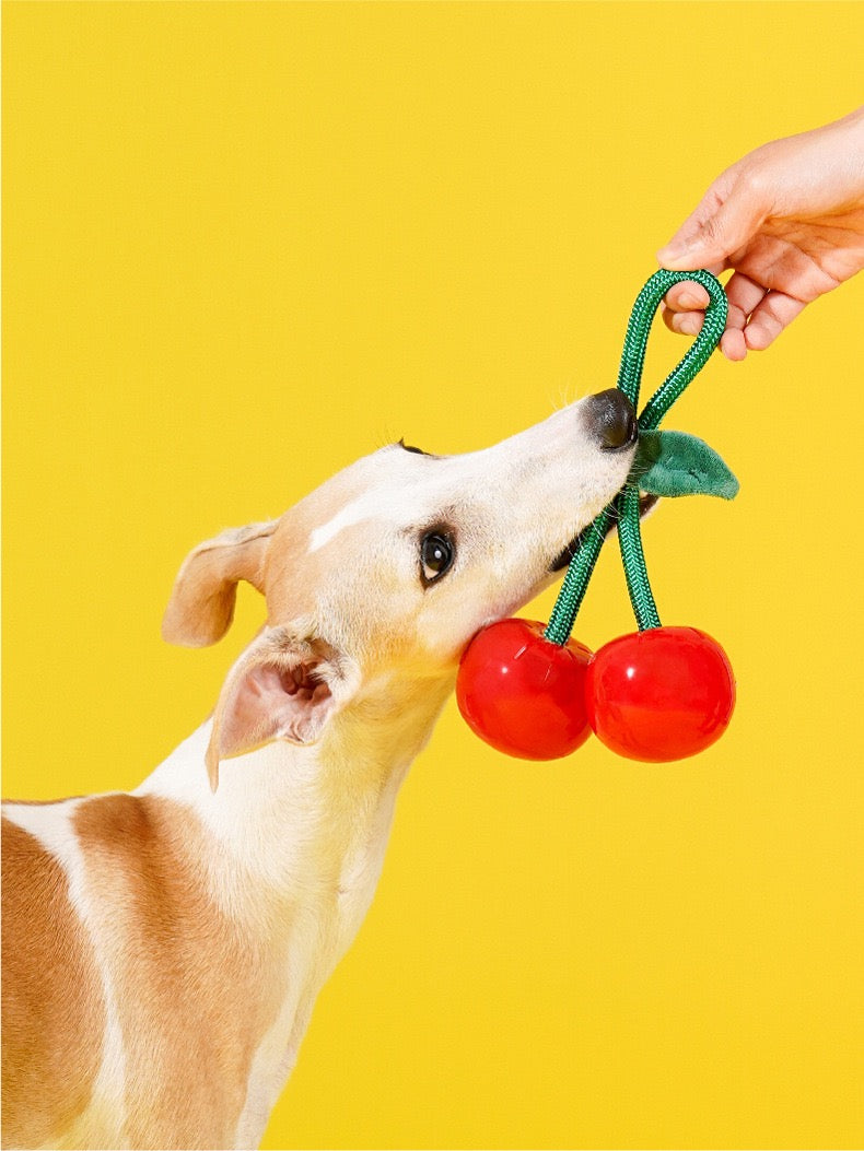 Cherry Chew Toy