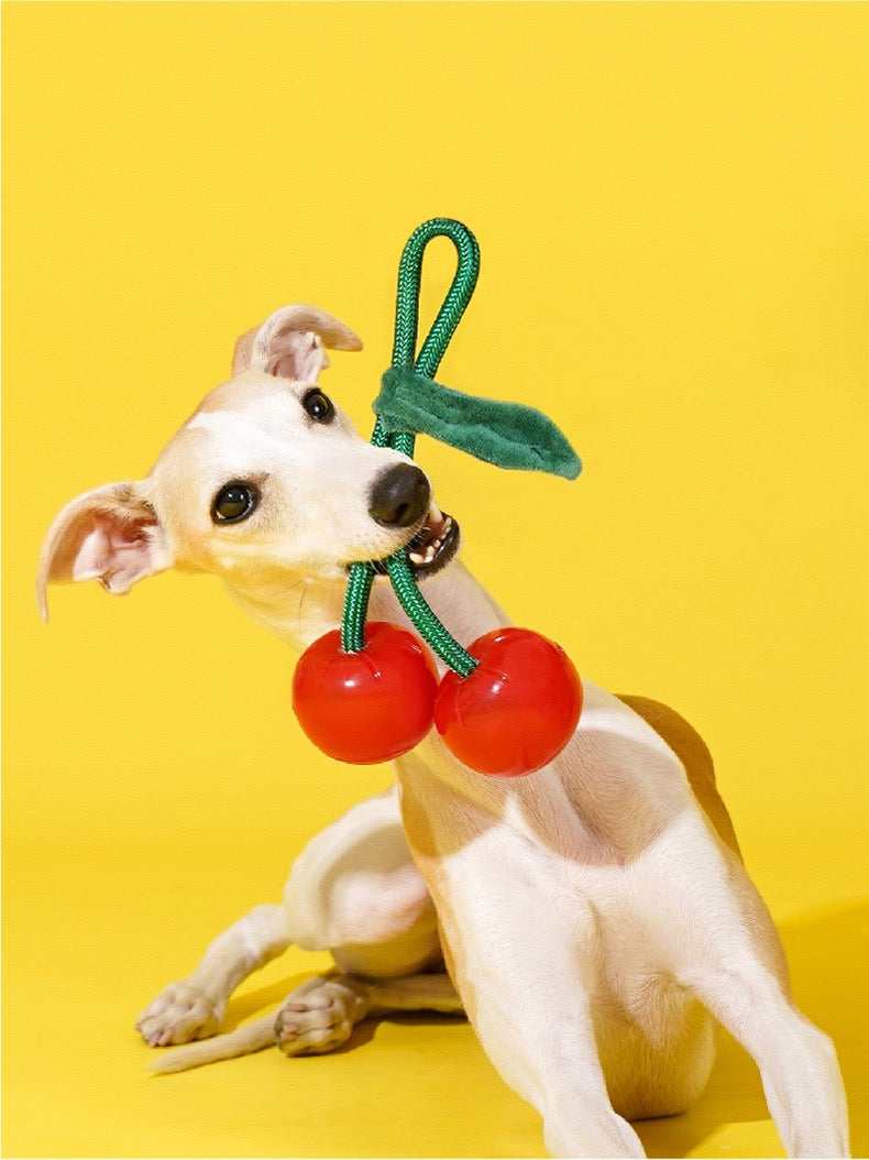 Cherry Chew Toy